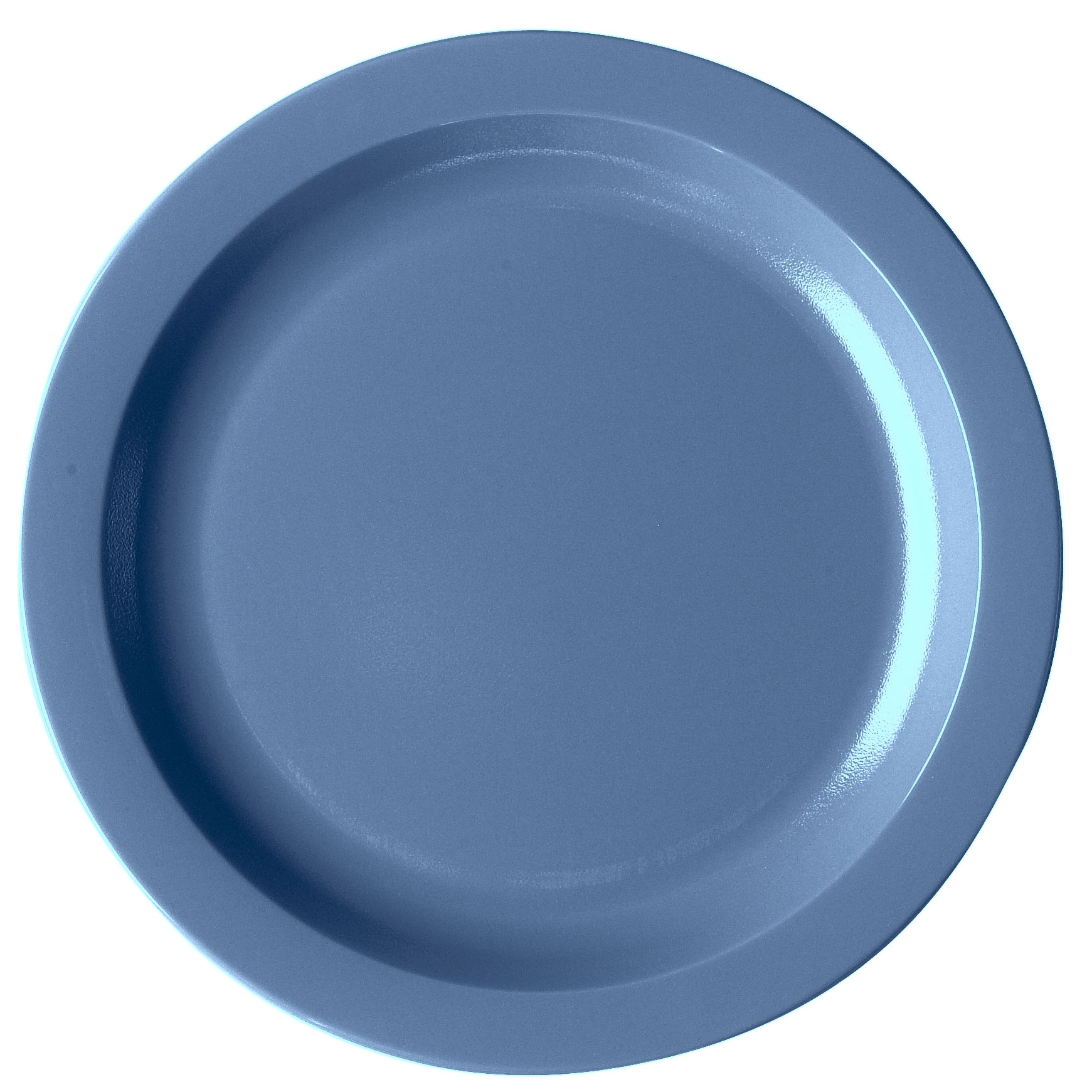 Cambro, 10CWNR401, Plates (Non Disposable)