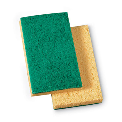 3M, 74N, Sponges