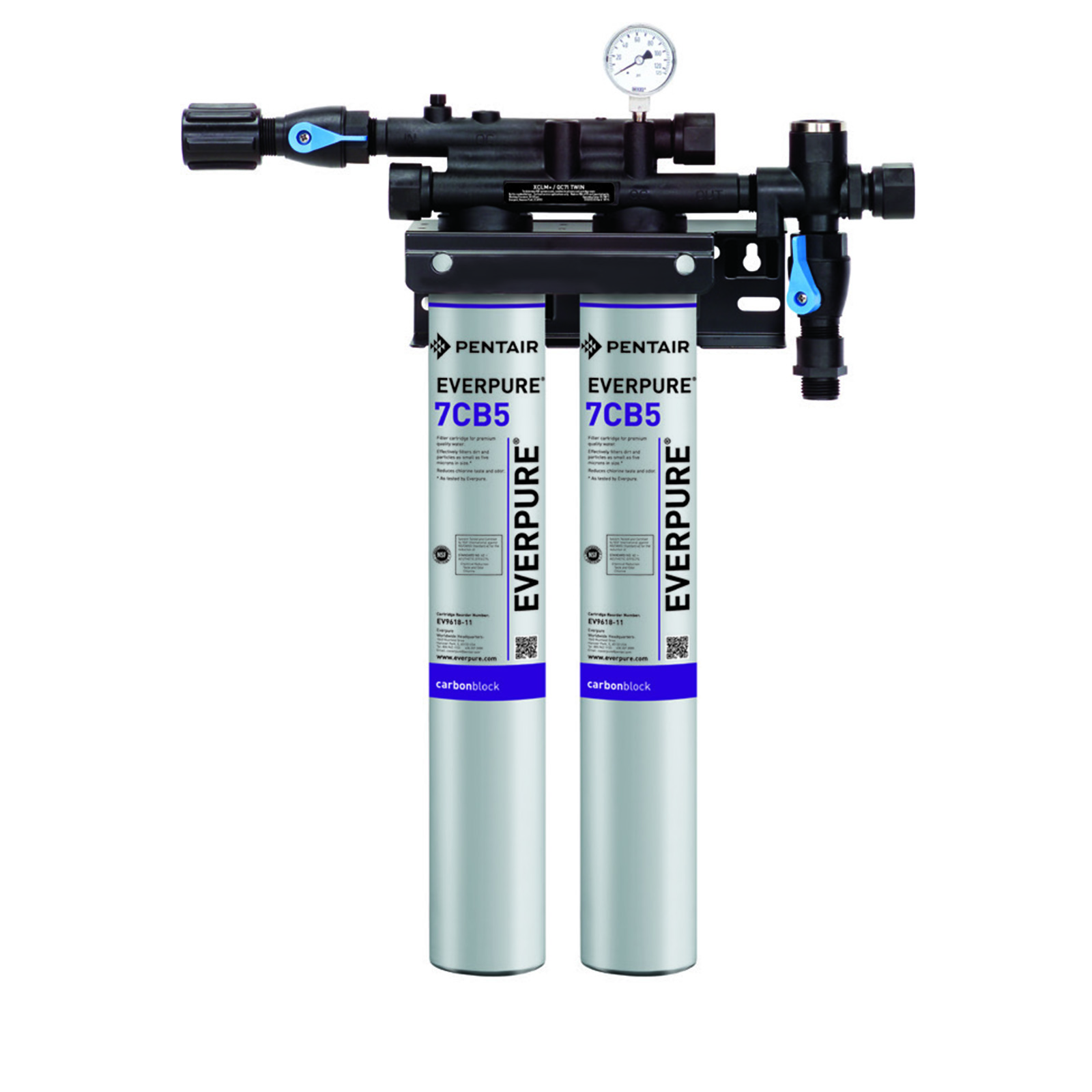 Everpure, EV979740, Water Filtration System, for Steam Equipment