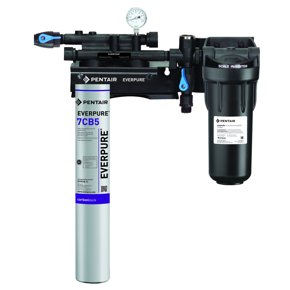 Everpure, EV979721, Water Filtration System, for Steam Equipment