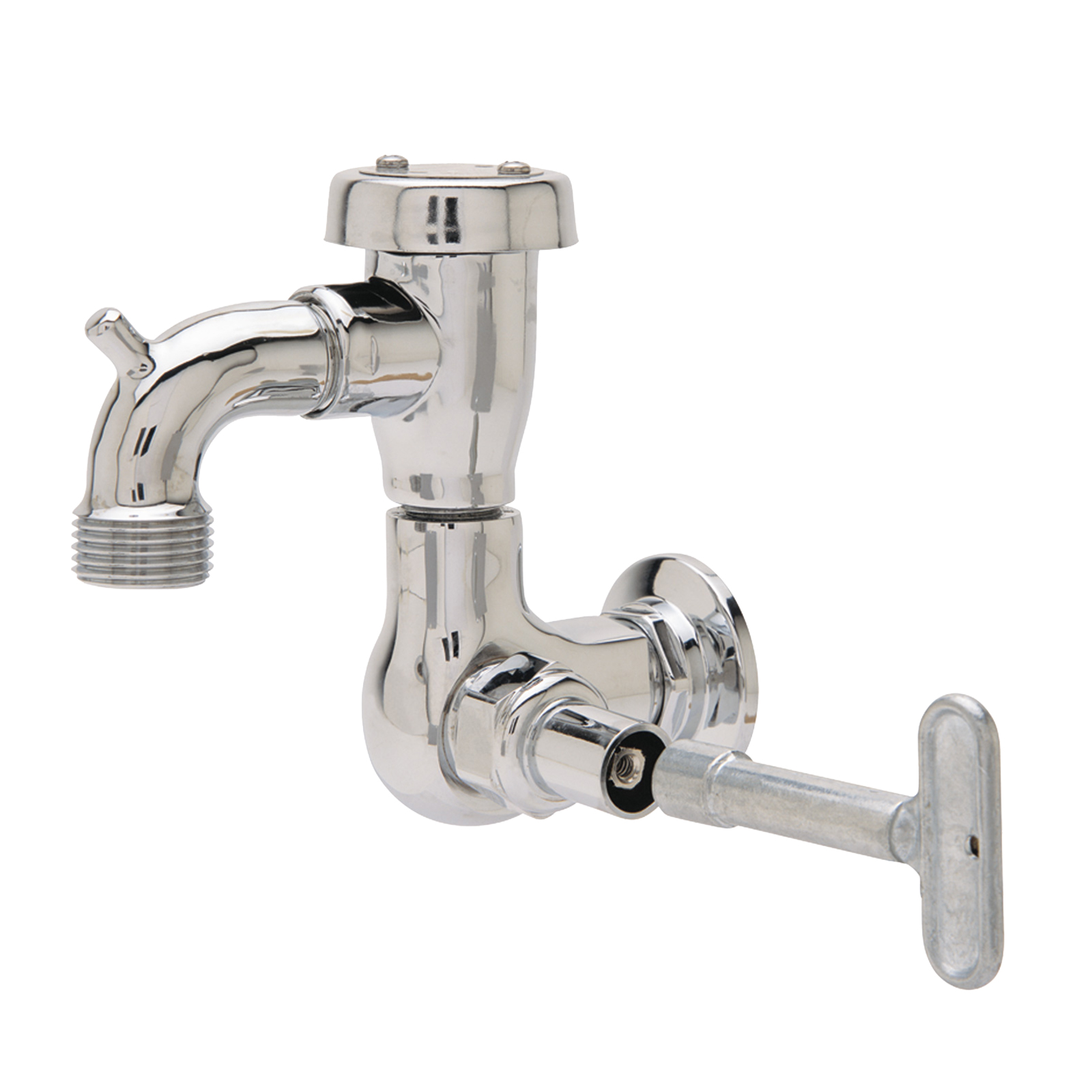 Fisher, 29548, Faucet, Single Wall Mount, with Hose Threads